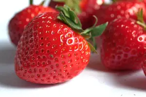 Vegan Recepty